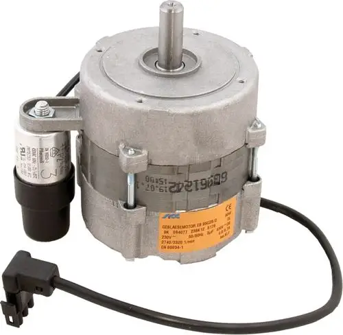 Elektromotor von Wolf mit einem kompakten Design. Die Abbildung zeigt den Motor mit einer achsialen Welle und Kabelanschluss, typischerweise für Heizungsanlagen verwendet.